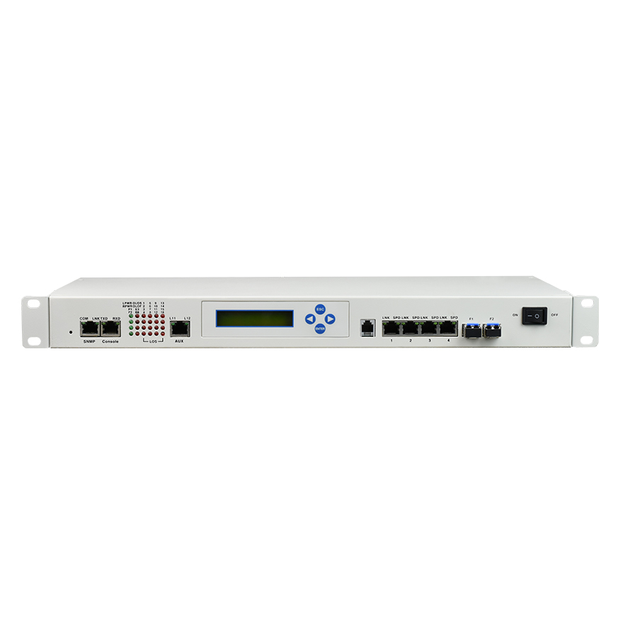 Modular multi-service Fiber MUX