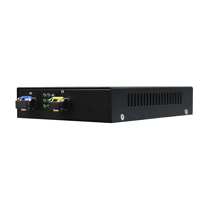 OEO Optical Fiber Amplifier Repeater