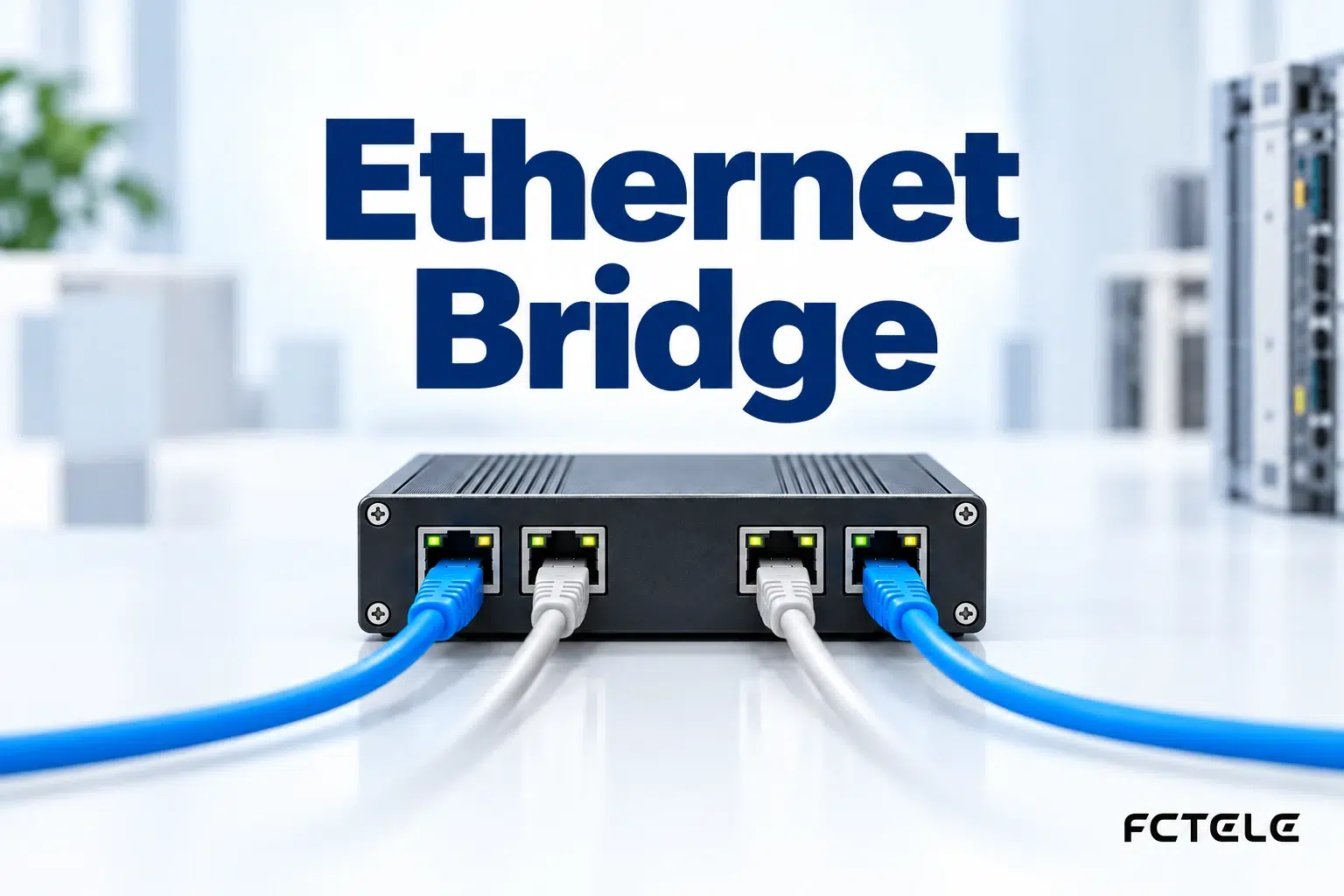 How Bridges Are Classified: Boundaries of MAC Learning, Spanning Tree, and Routing Functions