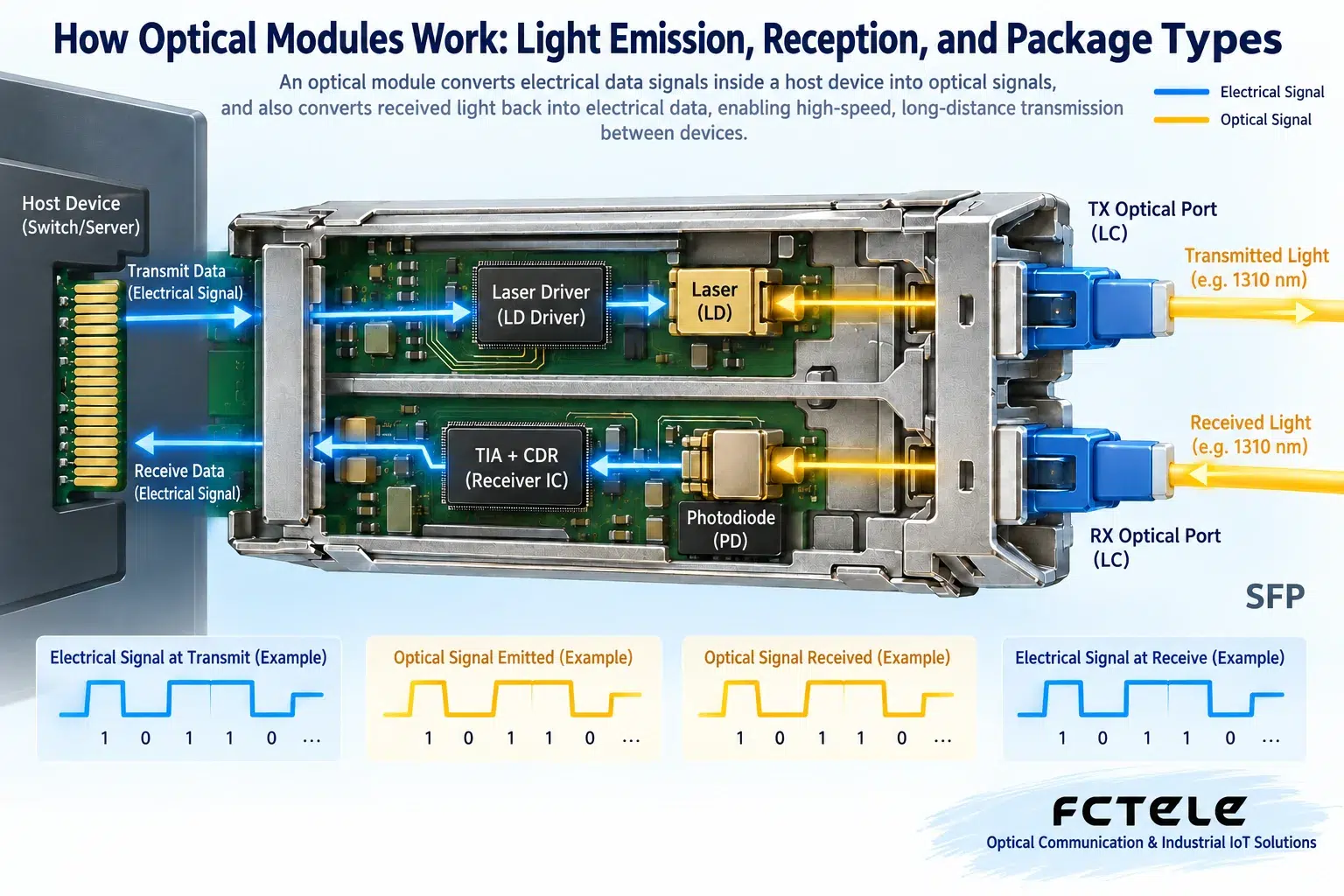 The module's transmit path converts electricity to light, and the receive path converts light to electricity; the two directions are handled separately.