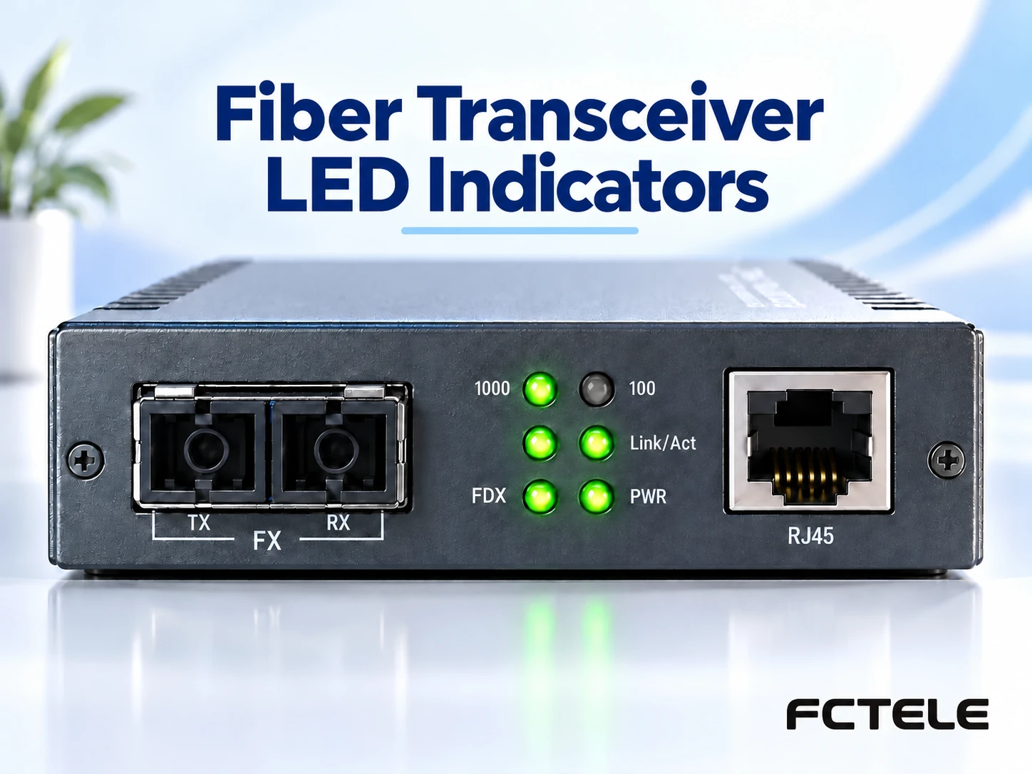 Reading Fiber Media Converter LEDs: Fast Ethernet and Gigabit Panels, Column by Column